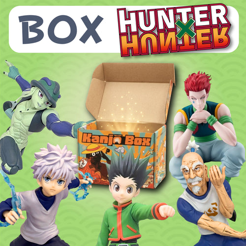 La Box Mystère Hunter x Hunter 🦖