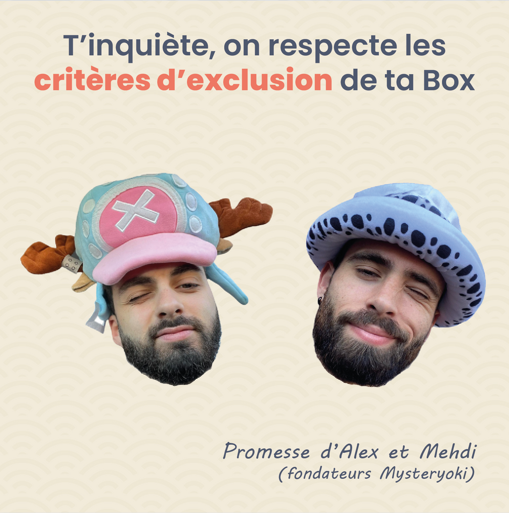 La Box Mystère de figurine manga ㊙️