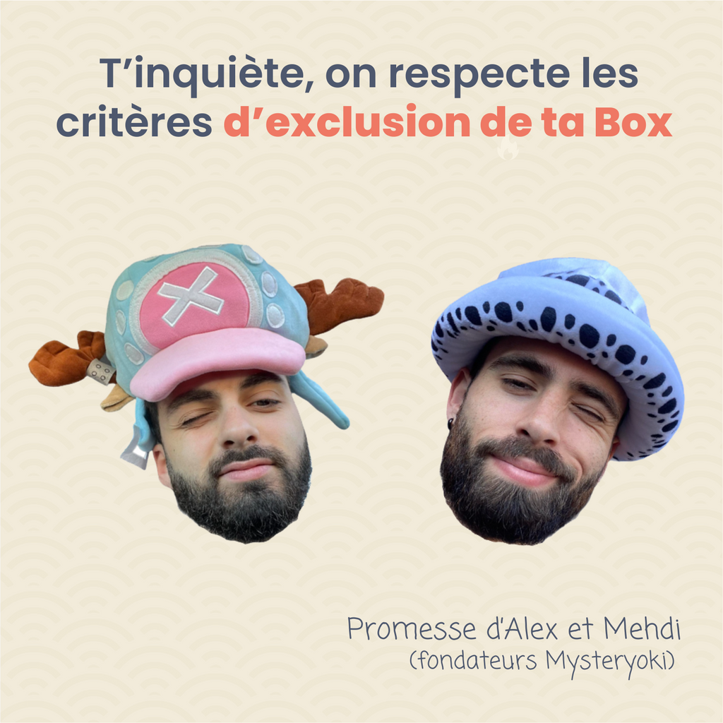 La Box Mystère Hunter x Hunter 🦖