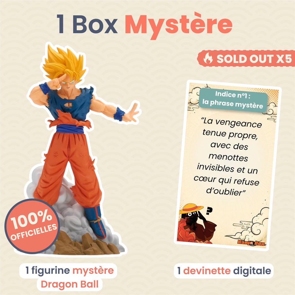 La Box Mystère Dragon Ball 🐉
