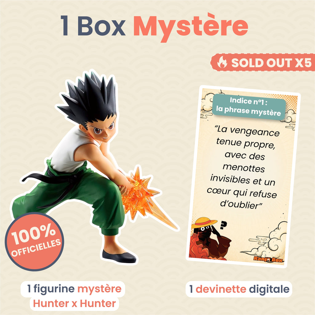 La Box Mystère Hunter x Hunter 🦖